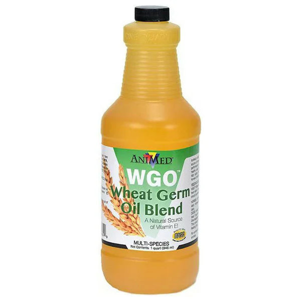 AniMed WGO Wheat Germ Oil Blend Horse Supplement, 1-qt bottle