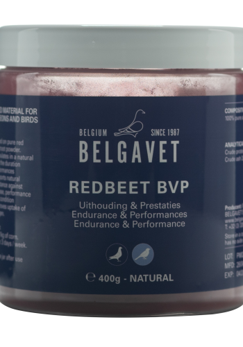 Redbeet BVP