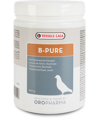 B-Pure
