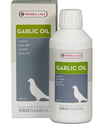 Garlic oil