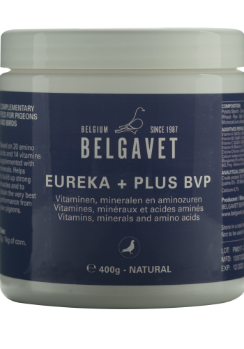 Eureka + Plus BVP
