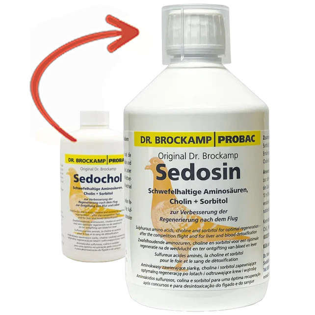 Sedosin