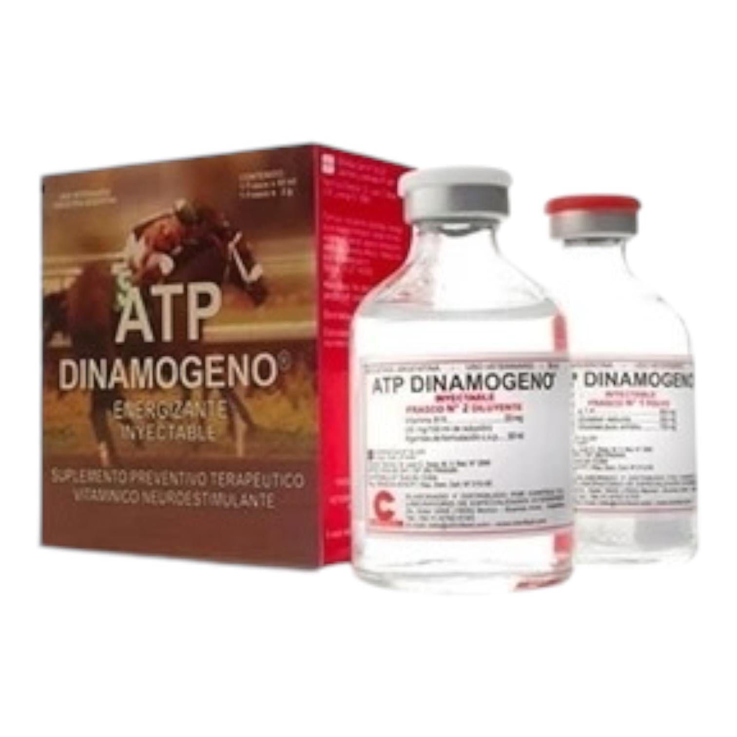 ATP Dinamogeno