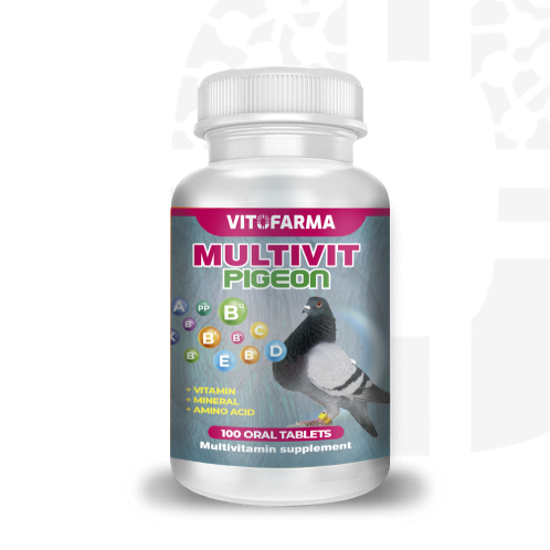 MULTIVIT PIGEON