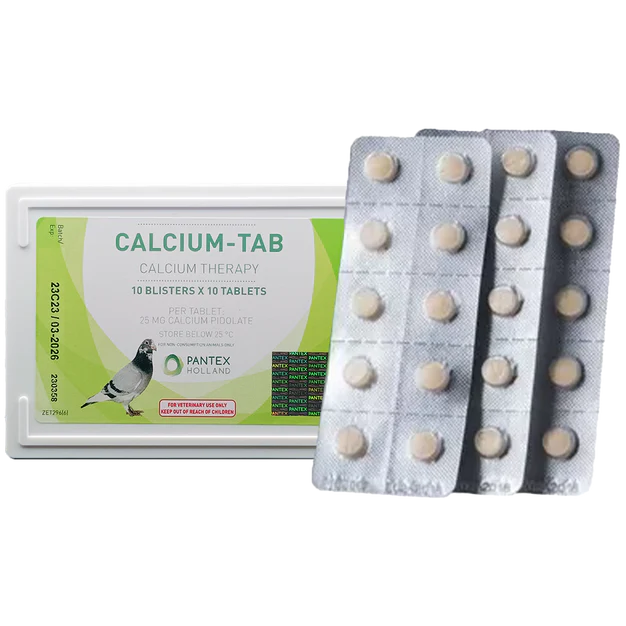 Pantex Calcium-Tab 100 Tablets