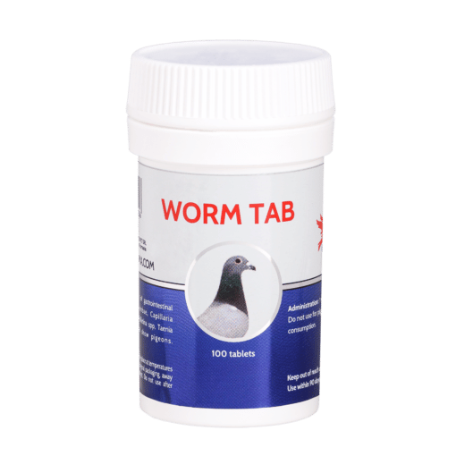 Cest-pharma WORM TAB 100 tablets