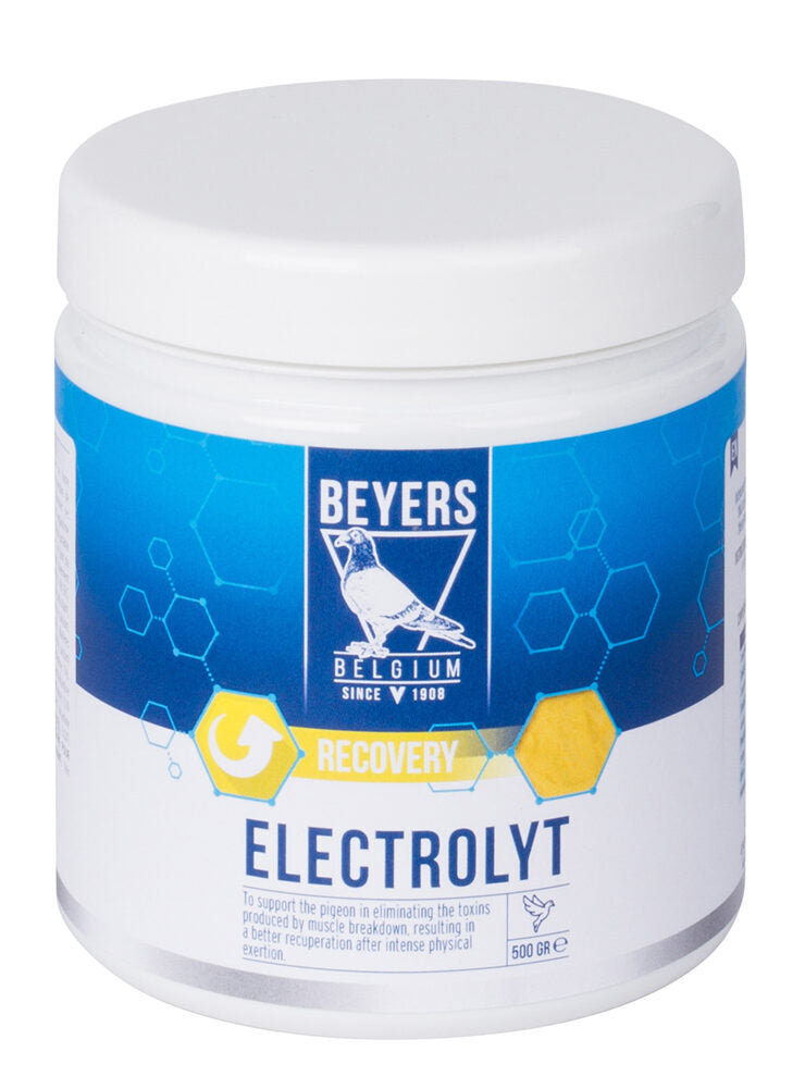 Electrolyt - 500 GR