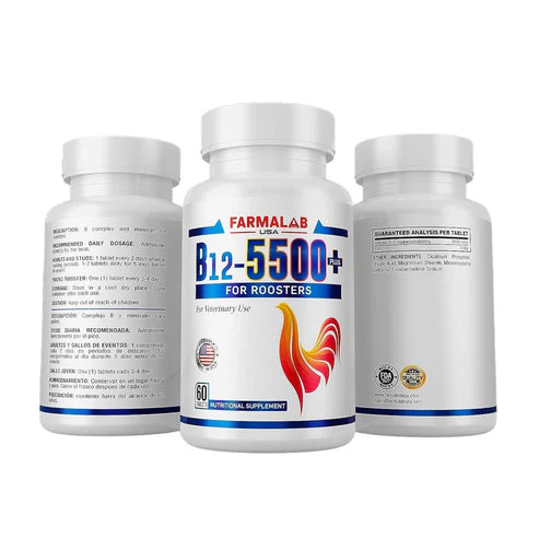B12 5500 Plus para gallinas aves de corral 60 tab