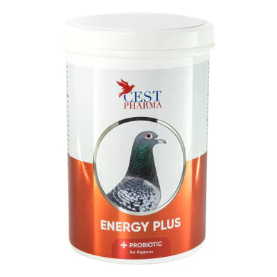 Cest Energy Plus - Essential Carbohydrates for Pigeons