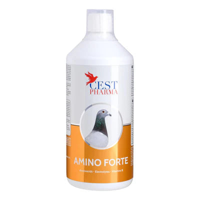 Cest Pharma Amino Forte for Pigeons