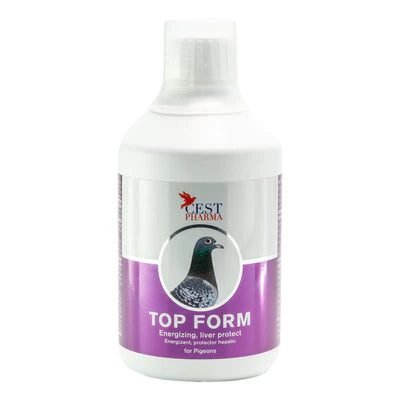 Cest Top Form - Increases Pigeons' Flight Performance