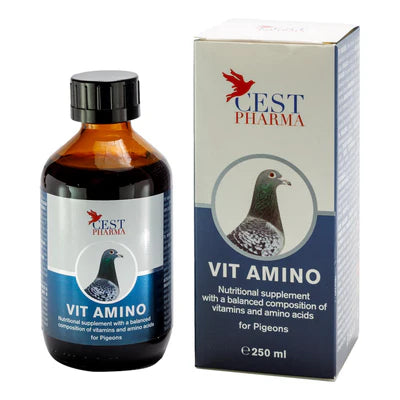 Cest Vit Amino - Vitamins