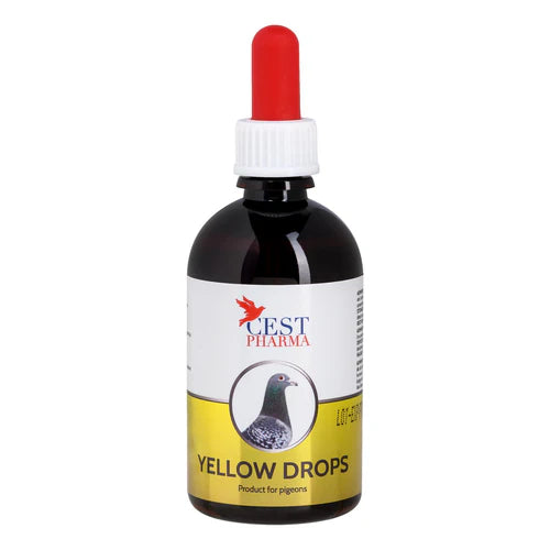 Cest Yellow Drops for Pigeons - Eliminates Fungi, Canker, & Bacteria