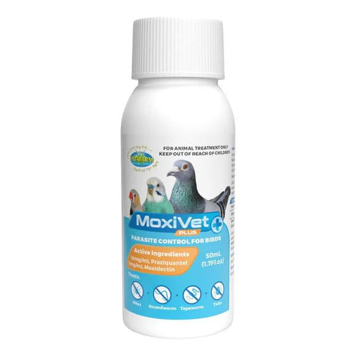 MoxiVet Plus Effective Bird Parasite Control with Moxidectin & Praziquantel