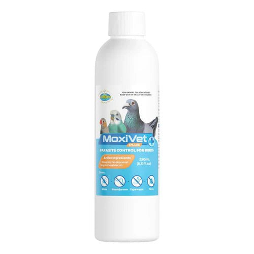 MoxiVet Plus Effective Bird Parasite Control with Moxidectin & Praziquantel
