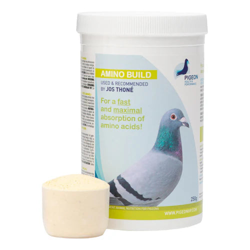 PHP Amino Build - Muscle-Building Amino Acids