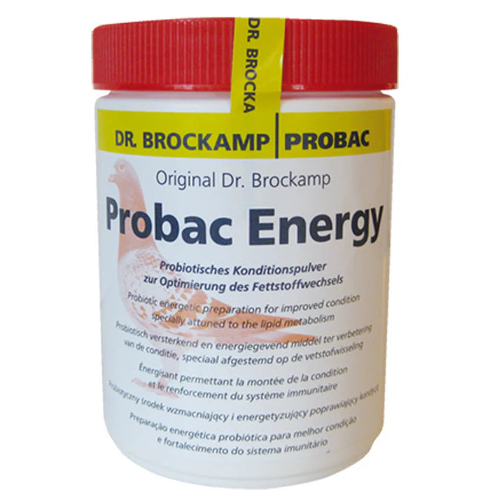 Probac Energy