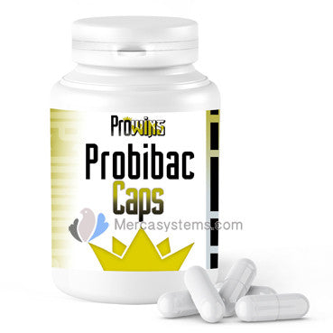 Prowins Probibac Caps