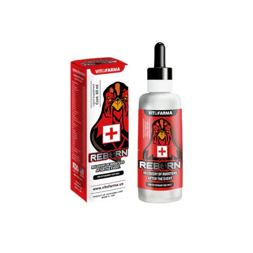 REBORN Powerful Recuperator for Rooster 60 ml