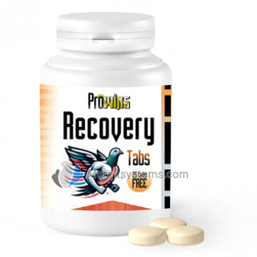 Prowins Recovery Caps
