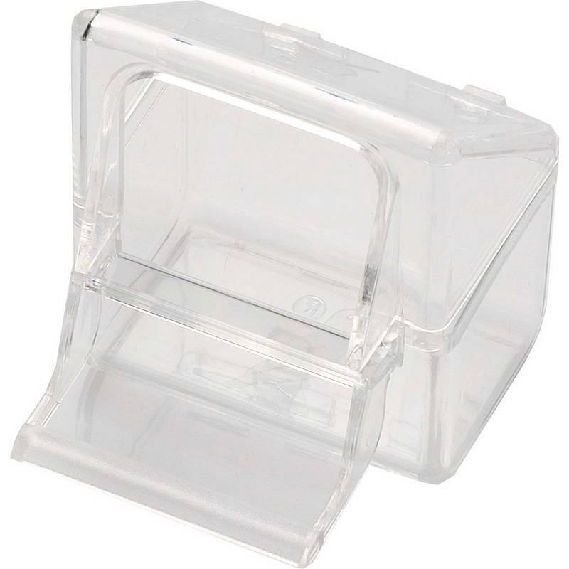 Comedero para pájaros del este